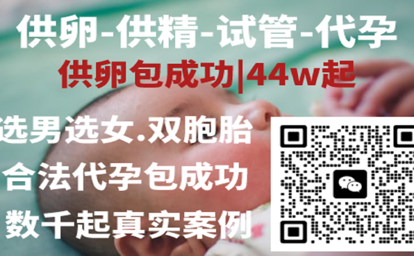 代孕公司